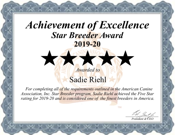 sadie, riehl, dog, breeder, cert, sadie-riehl, dog-breeder, gap, pa, pennsylvania, puppy, dog, kennels, mill, puppymill, usda, 5-star, certificate, golden, goldendoodles, doodles, ICA, registered